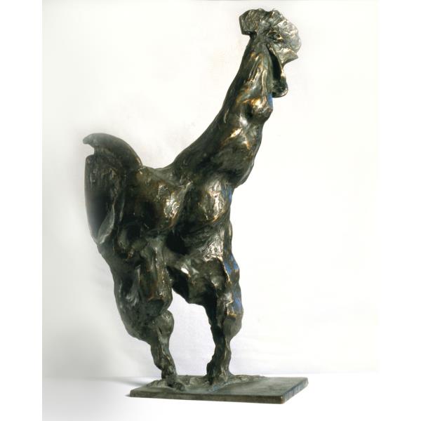 Le coq de Beppe